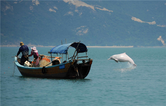 2、中华白海豚自然保护区照片.png