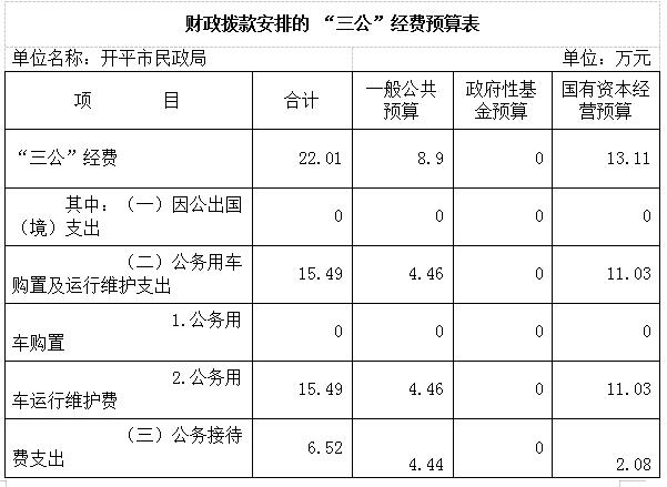 2020年开平市民政局三公经费预算公开.jpg