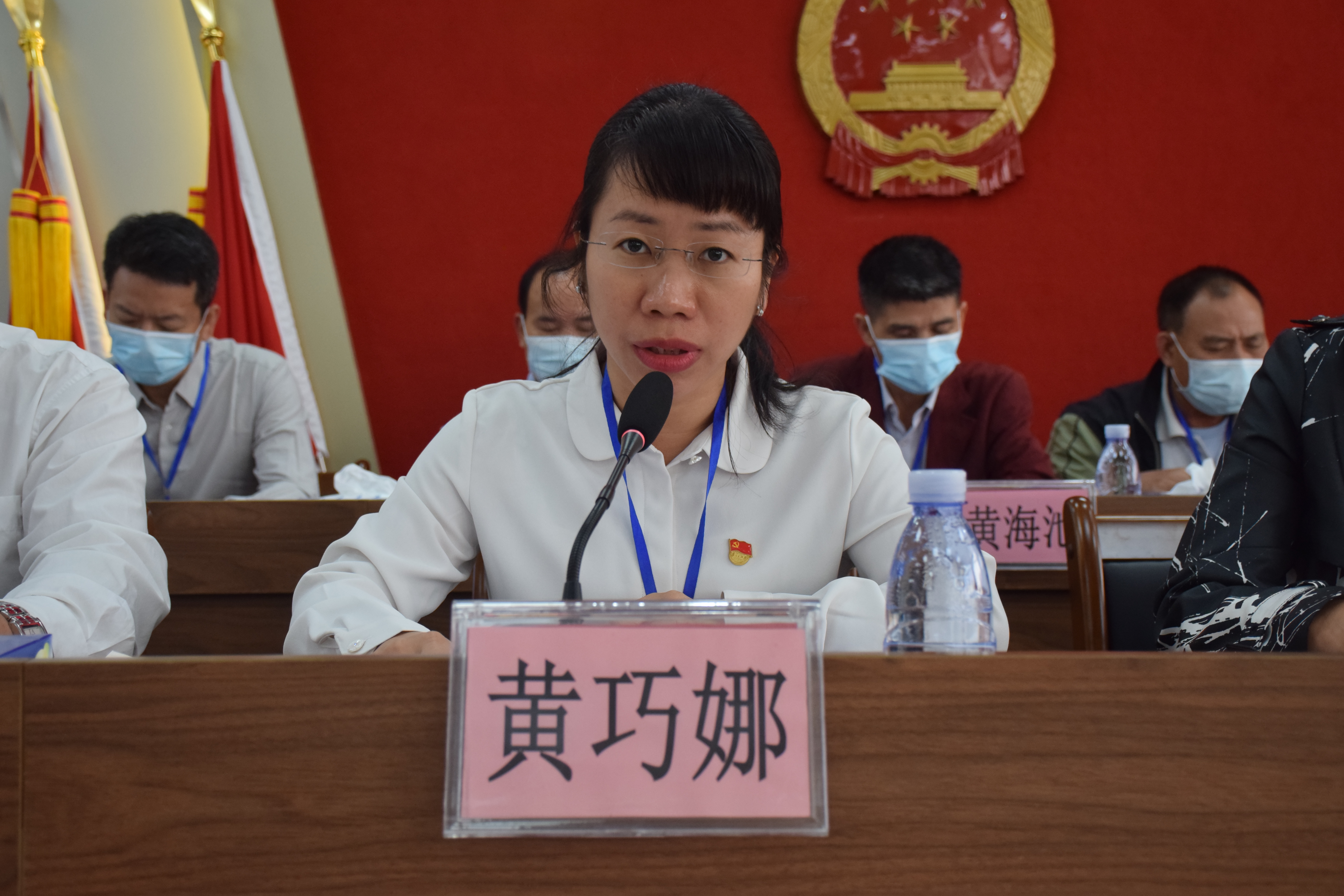 2龙胜镇党委副书记、镇长黄巧娜作《2020年龙胜镇政府工作报告》.JPG