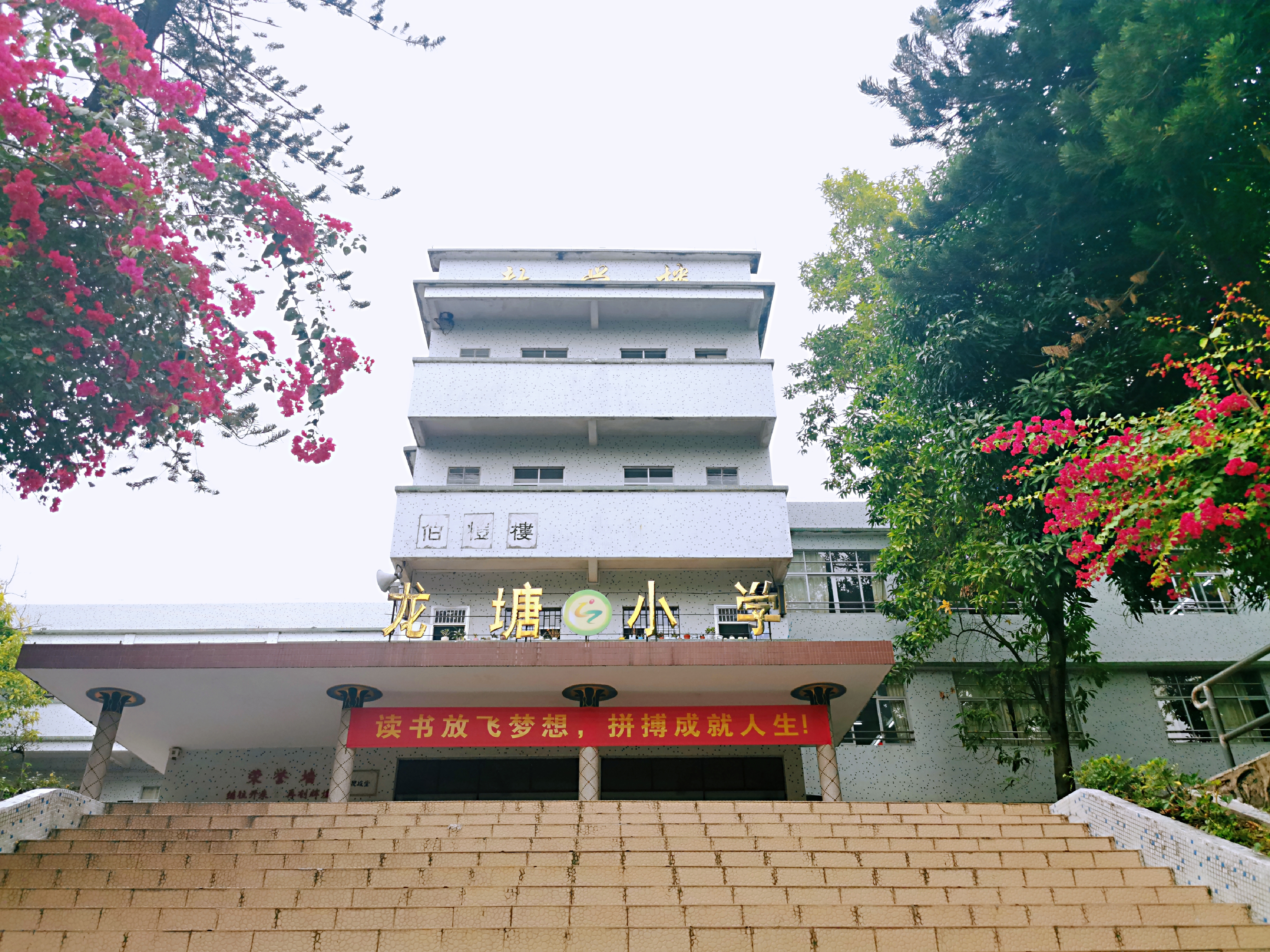 6  水口镇龙塘小学.jpg