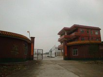 6.gif