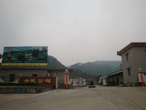 5.gif
