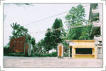 12.gif
