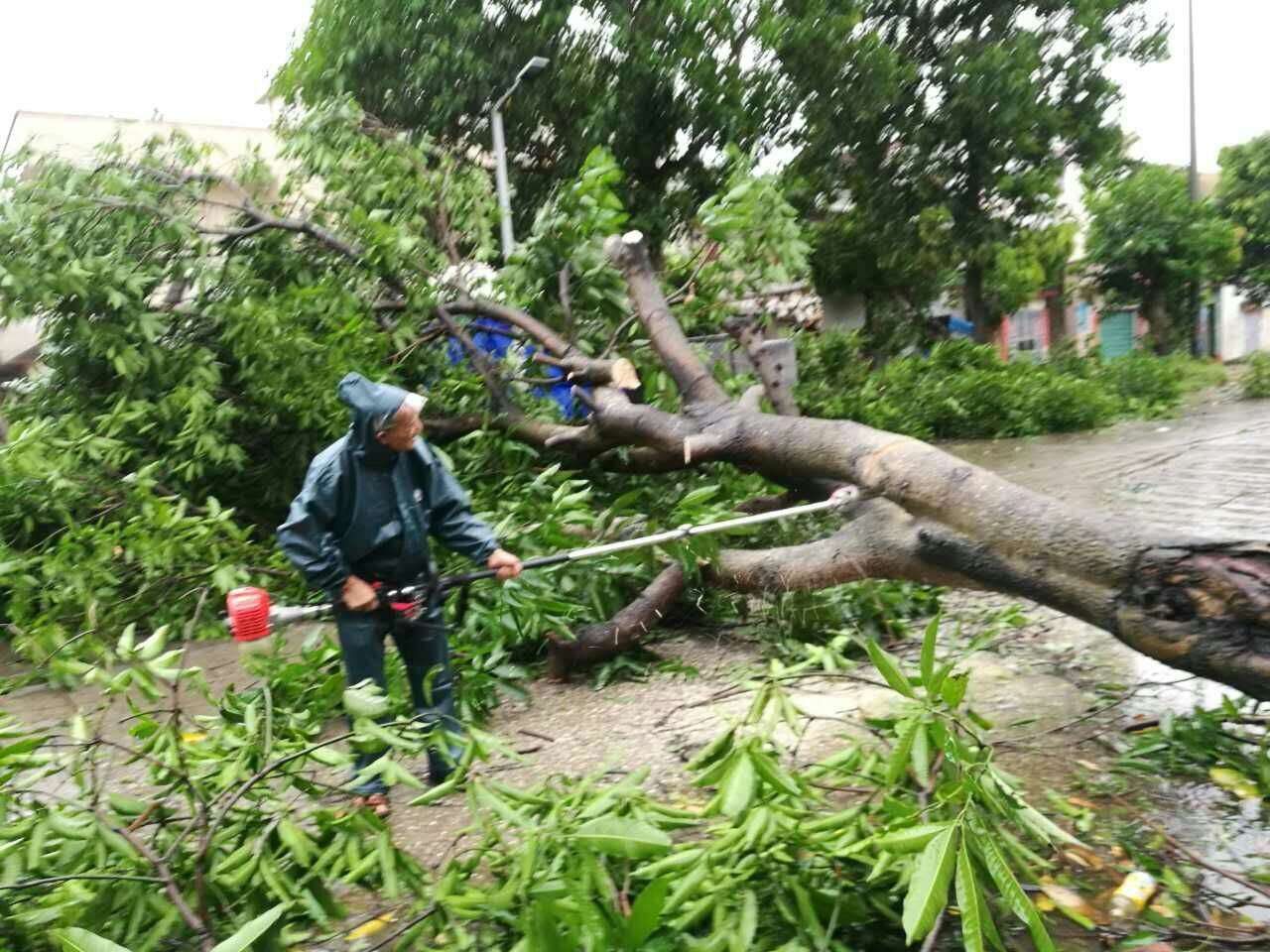 6络叔参与台风灾后恢复工作.jpg