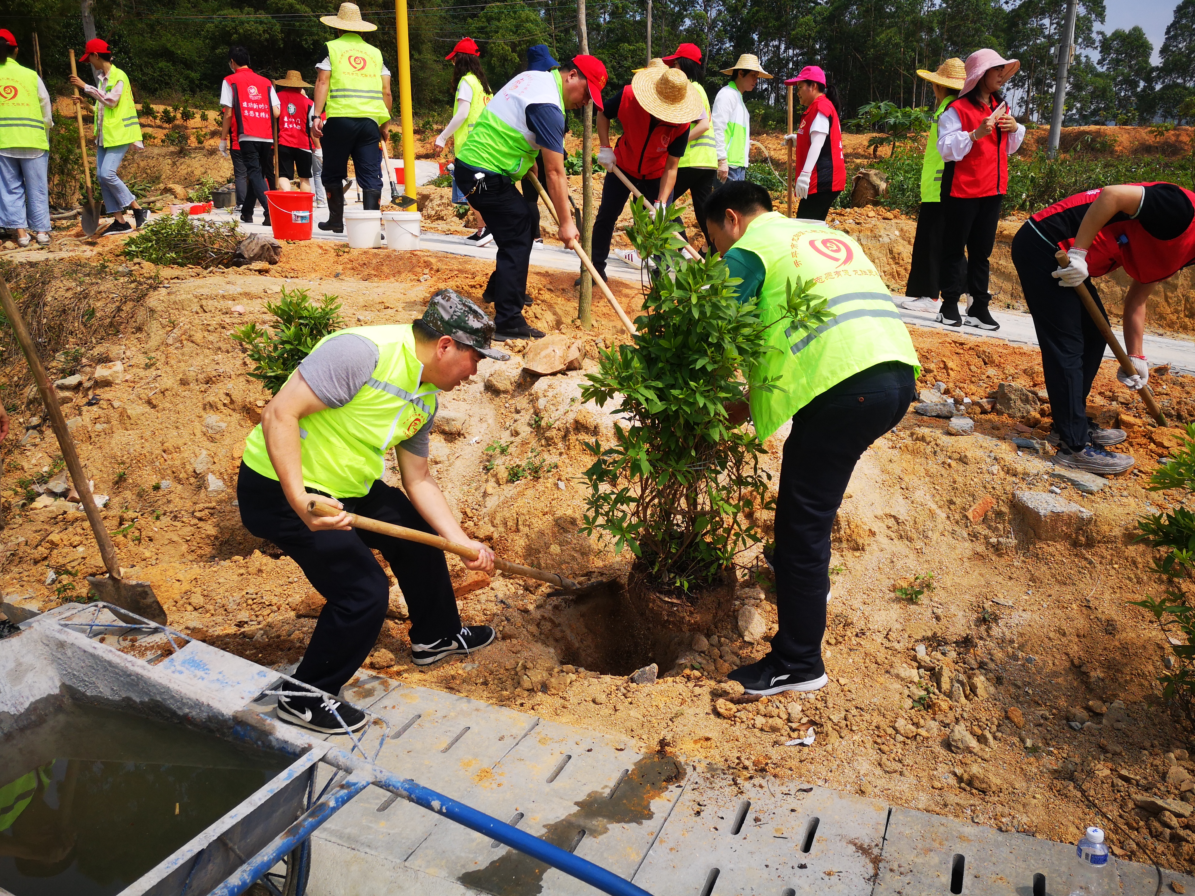 12“我为群众办实事 我为森林小镇添新绿”植树活动1.jpg