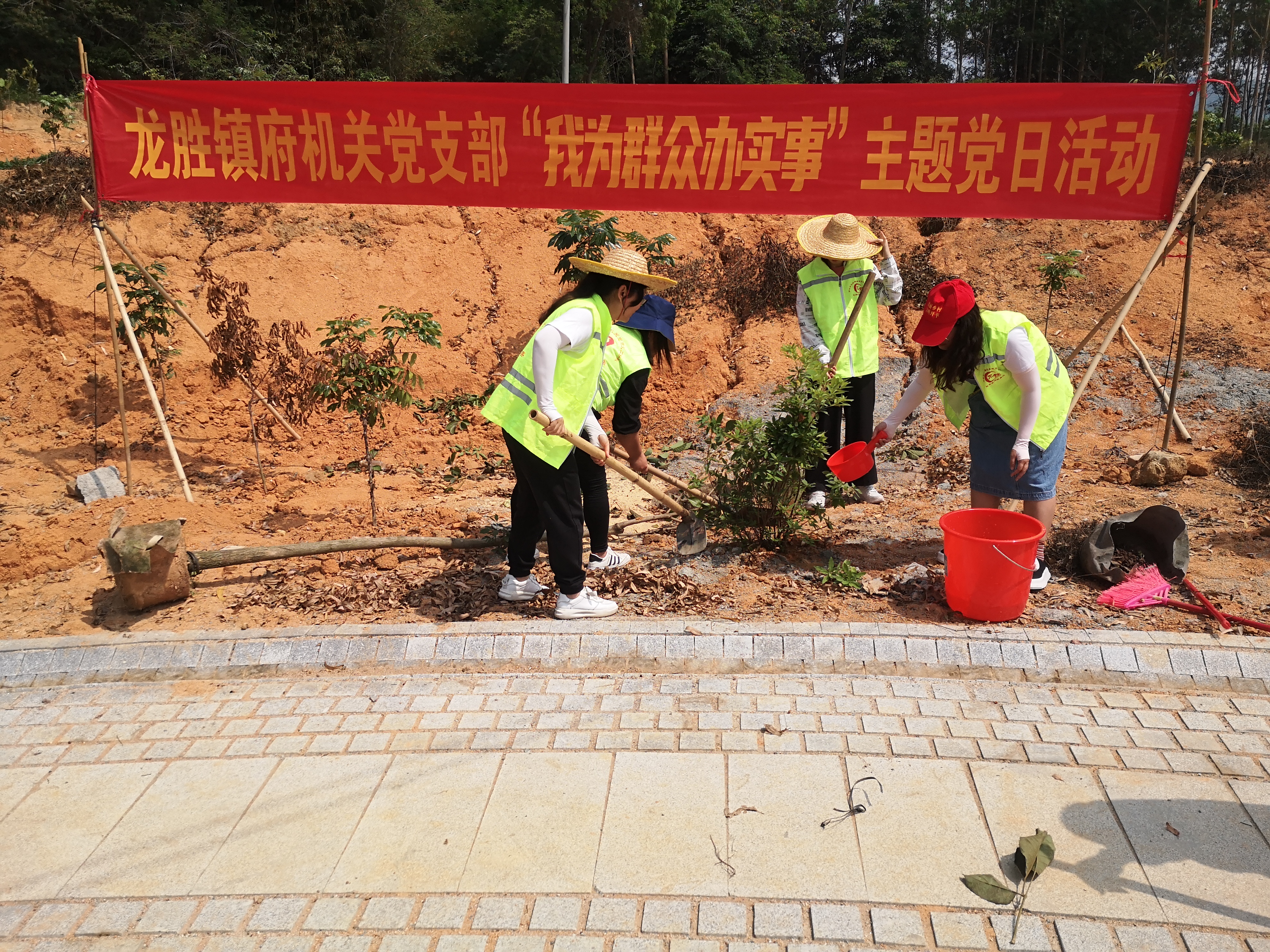13“我为群众办实事 我为森林小镇添新绿”植树活动2.jpg
