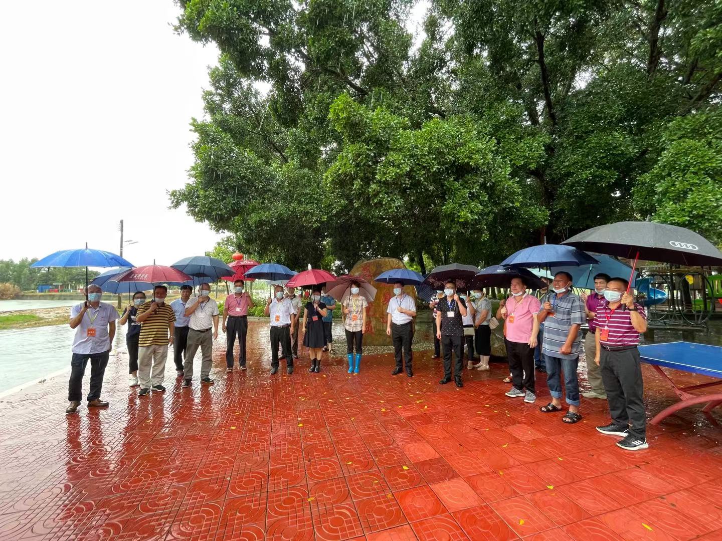 5调研桥新村“总有党员在身边”党建主题公园.jpg