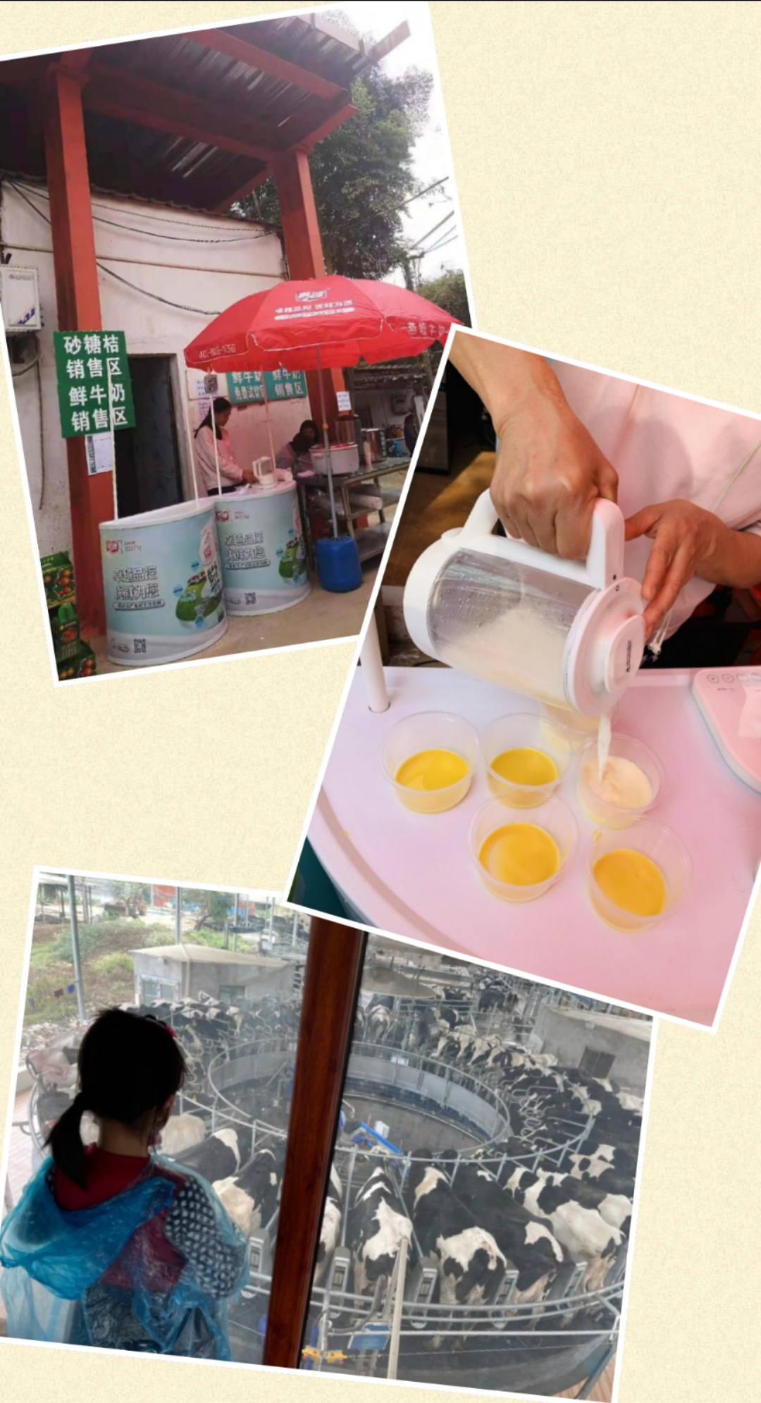 微信图片_20210810133205.png