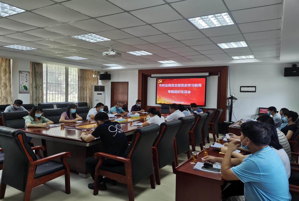 党史学习专题生活会.jpg