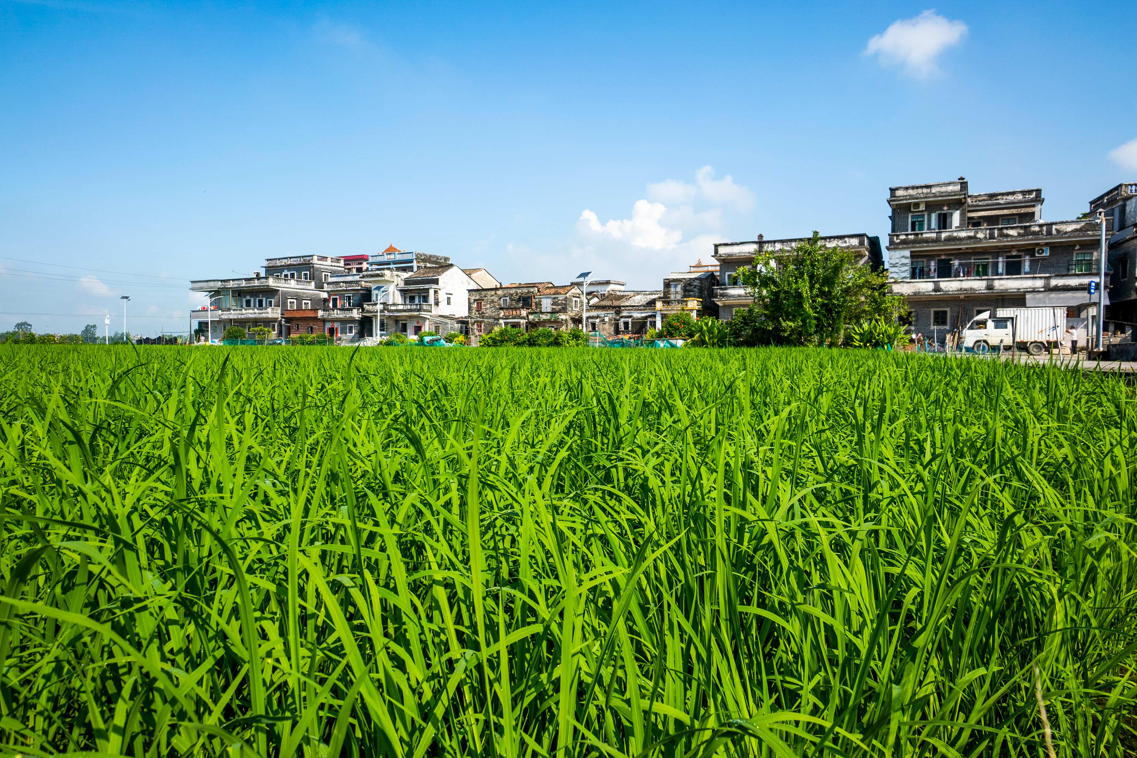 96e7d31853764af68f6c62771c957a5_副本.jpg