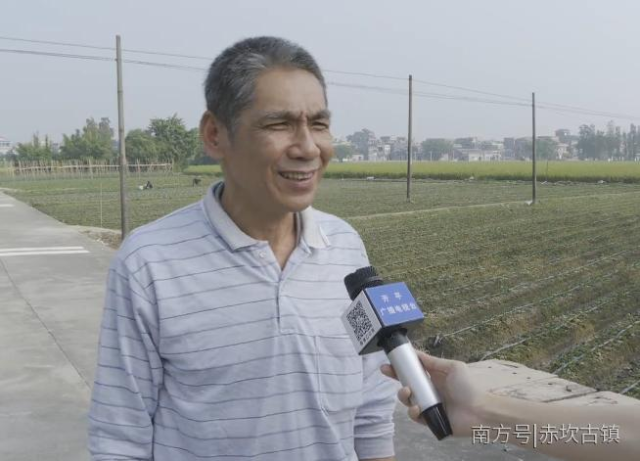 ▲赤坎镇芦阳村村民黄先生 ▲赤坎镇芦阳村村民黄先生