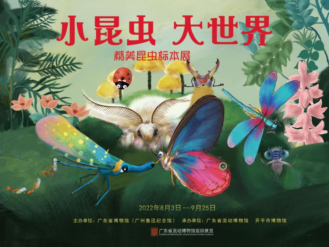 【展览推介】小昆虫 大世界——精美昆虫标本展