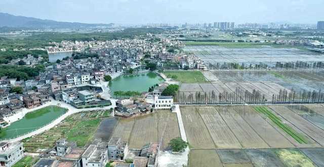 从长沙街道西溪村上空俯瞰，远处青山叠翠、高楼耸立，近处屋舍俨然，池塘星罗棋布，农田成方连片