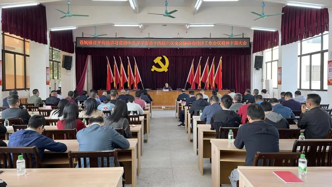 苍城镇召开传达学习市委十四届六次全会暨市委经济工作会议精神干部大会