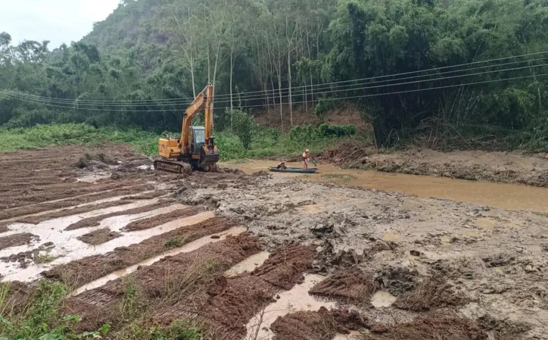 苍城镇全力开展水塘河道清淤行动