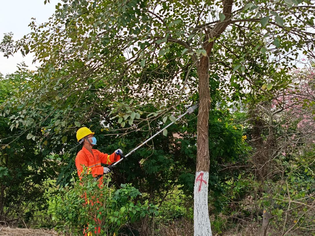 公路信息kp055-精准培训提技能 以赛促练砺精兵——江门市开平公路事务中心开展2024年绿化养护培训与养护技能竞赛.docx_3
