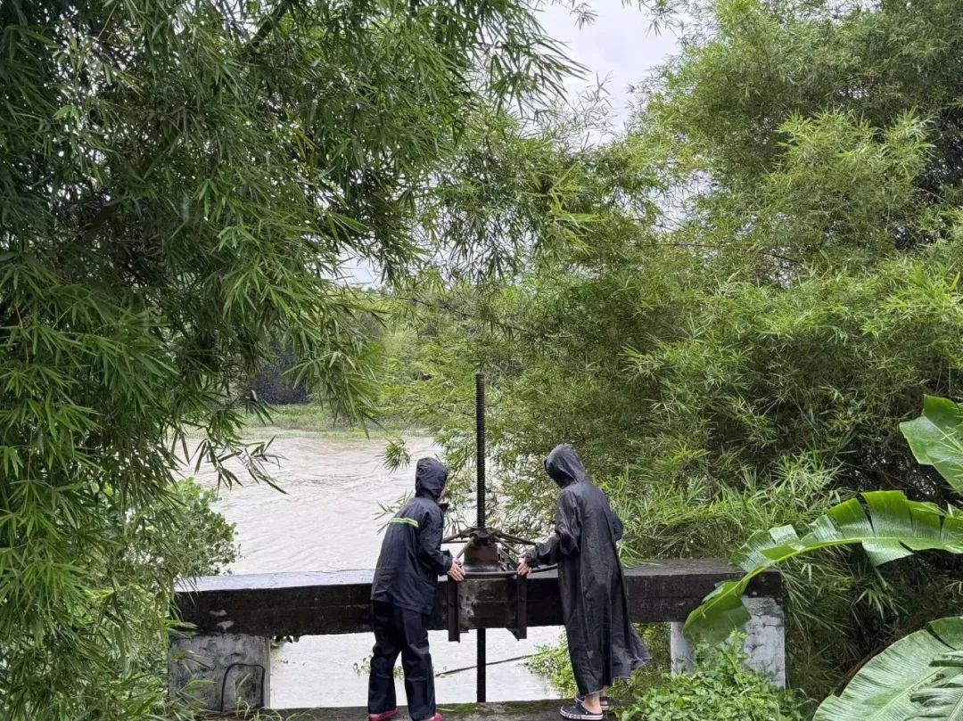风雨砺初心——赤坎镇党员干部昼夜奋战，筑牢防御台风“韦帕”的安全防线