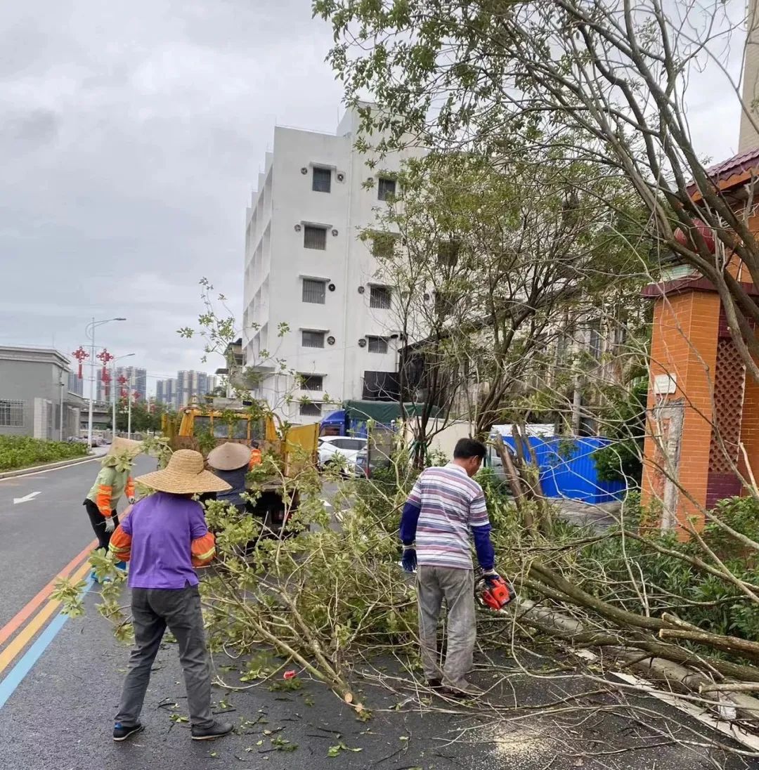 台风过后，水口镇步履不停，全力恢复美丽宜居家园