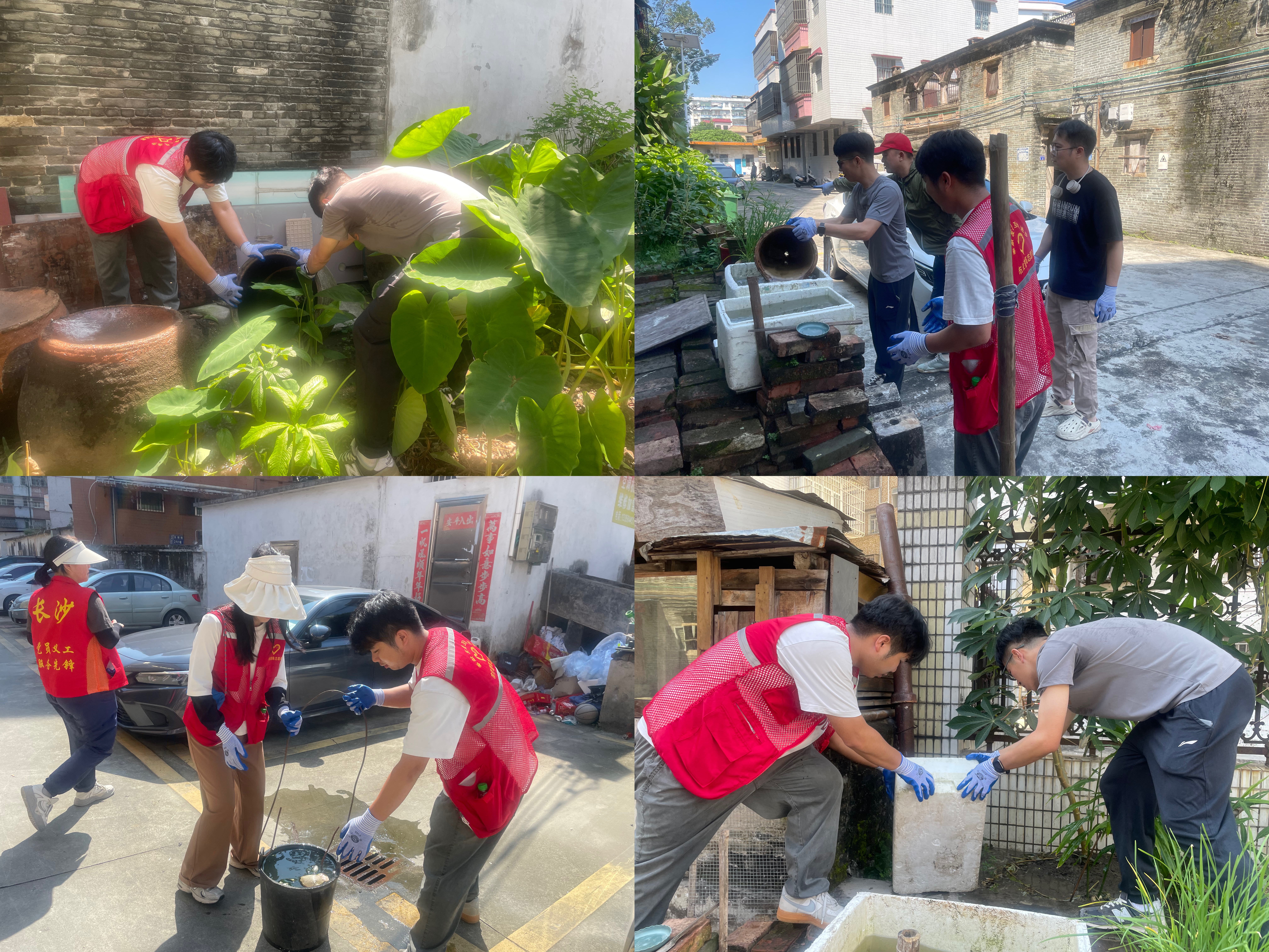 2025.07.25 防蚊灭蚊行动.jpg