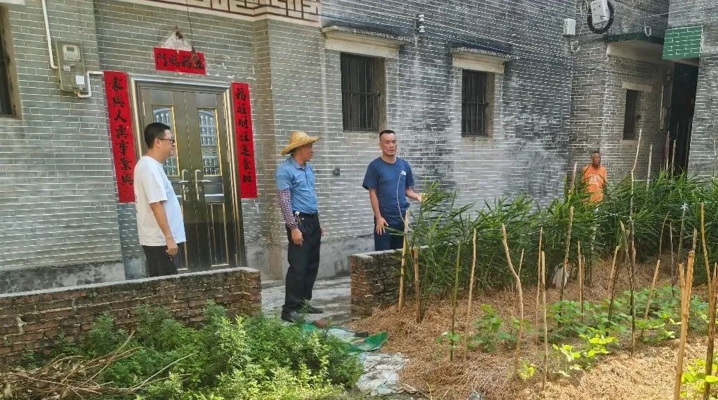 月山镇全域开展防灭蚊统一行动 筑牢基孔肯雅热防控屏障