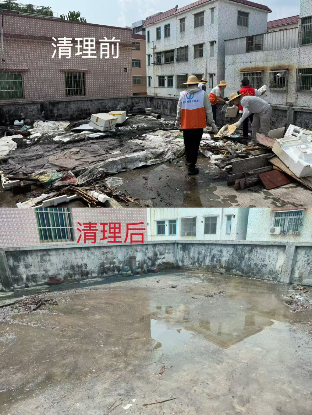 投身爱国卫生运动，服务人民健康需求——防蚊灭蚊专项志愿活动纪实