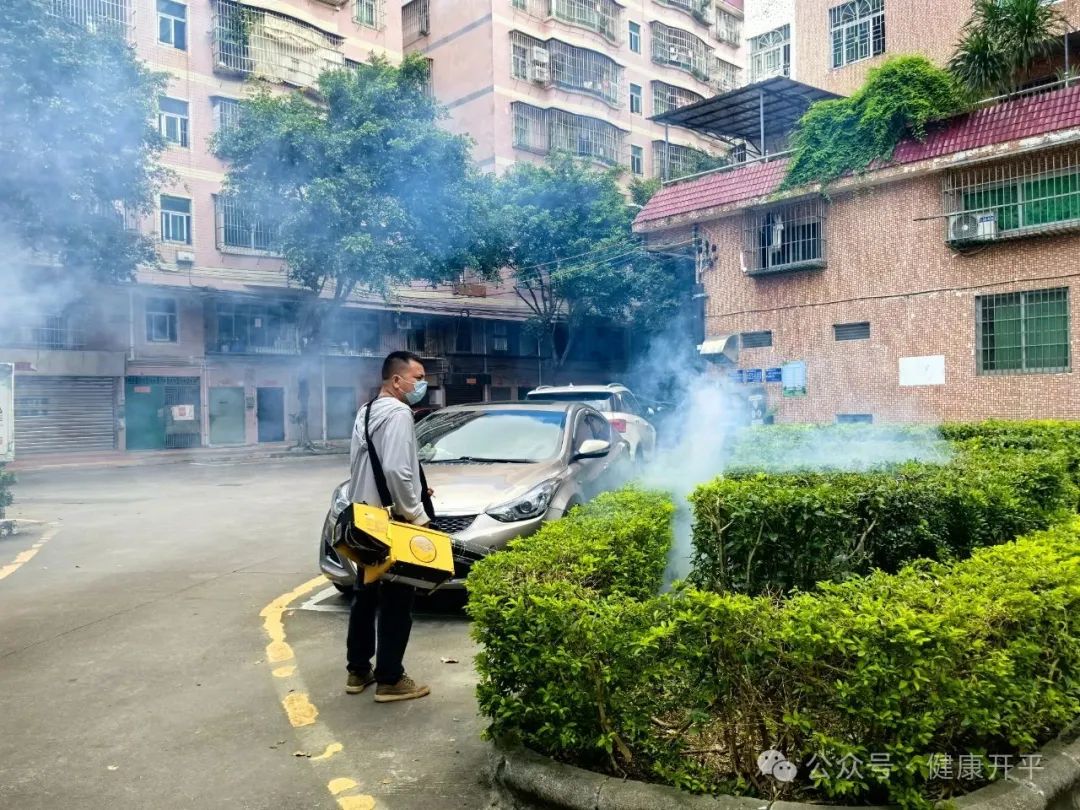 开平市卫健局全员行动：五天攻坚战筑牢防蚊灭蚊防线