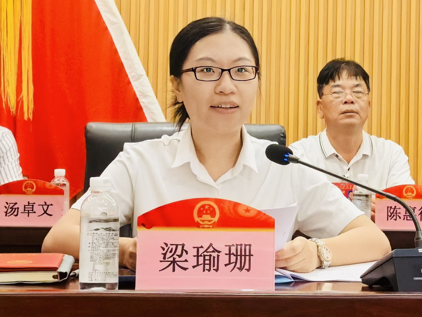 6.新当选镇长讲话.jpg