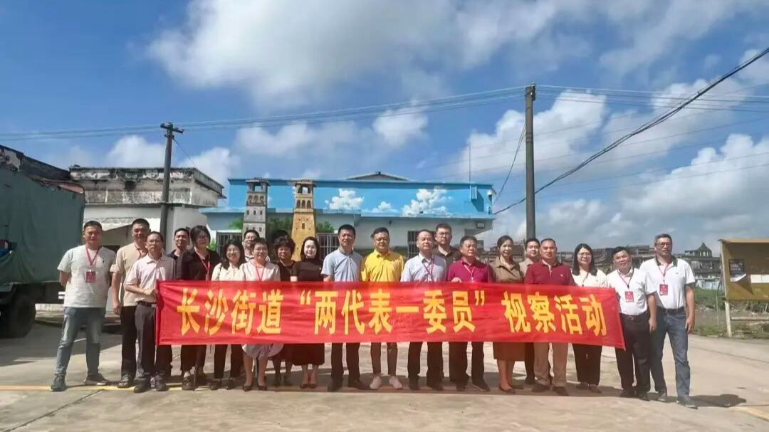 年中督进度，监督民生实事见实效——长沙街道“两代表一委员”开展民生实事监督活动