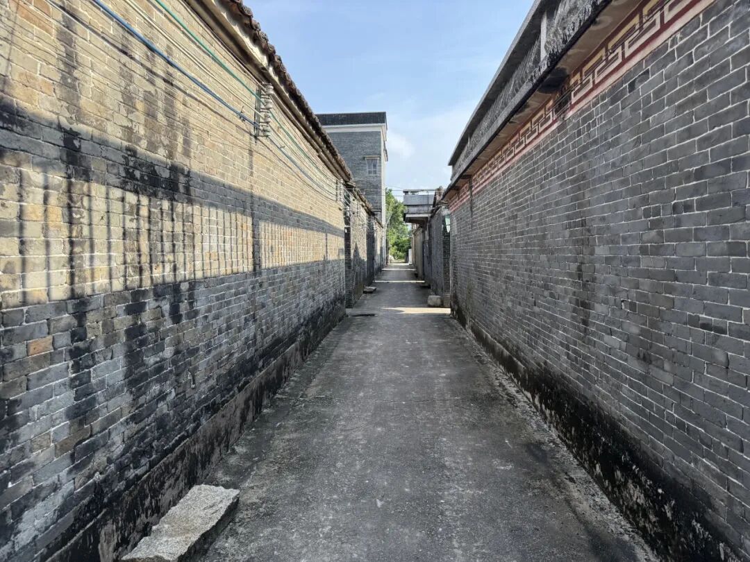 给村庄“美颜”，为人心“聚气”！水口镇唐联村委会见龙村深入开展爱国卫生运动焕新村容