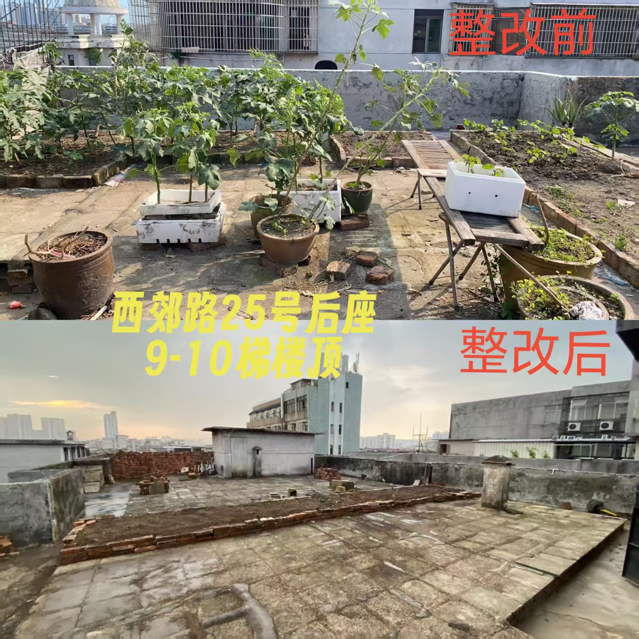 微信图片_20251004192219_1054_51.jpg
