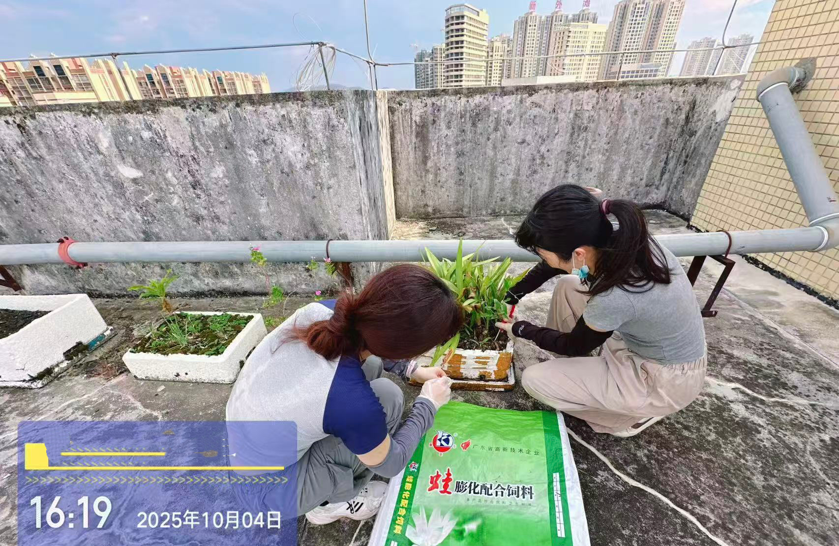 微信图片_20251005214821_15_1.jpg