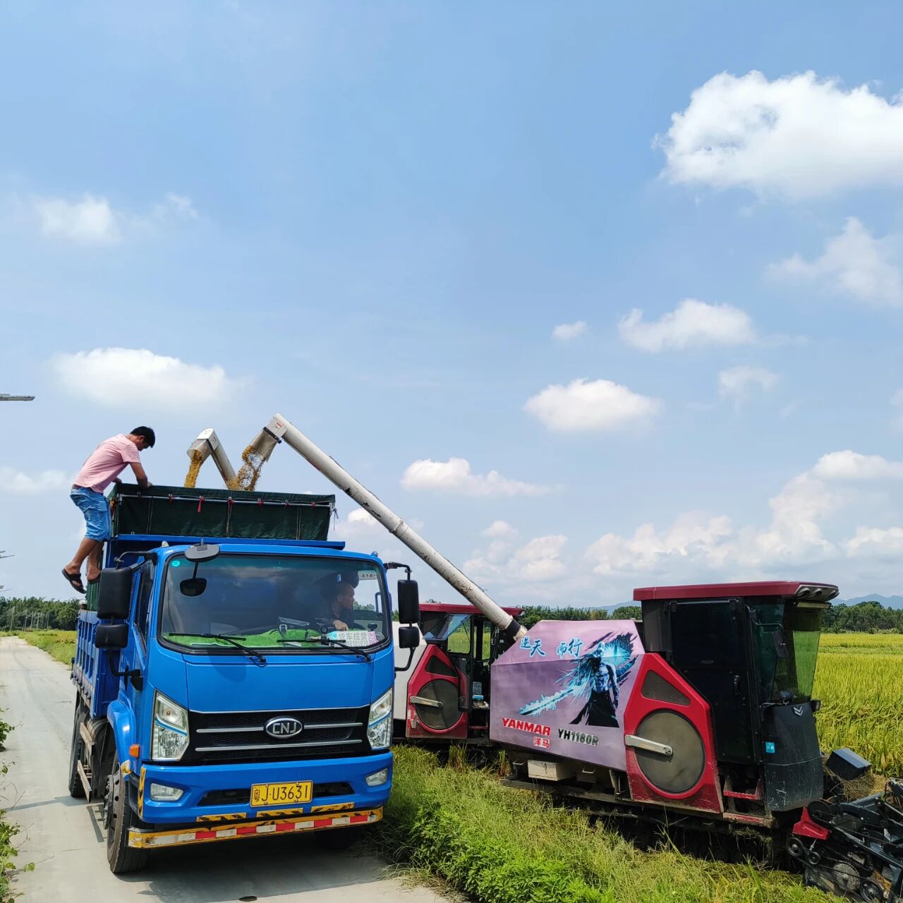 【中国农民丰收节】龙胜镇“新农人”典型代表展播（第二期）