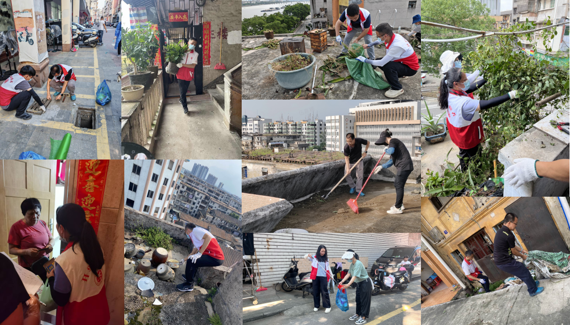 党员下沉齐攻坚 改善环境显担当——市财政局助力包干社区打赢基孔肯雅热防控阻击战