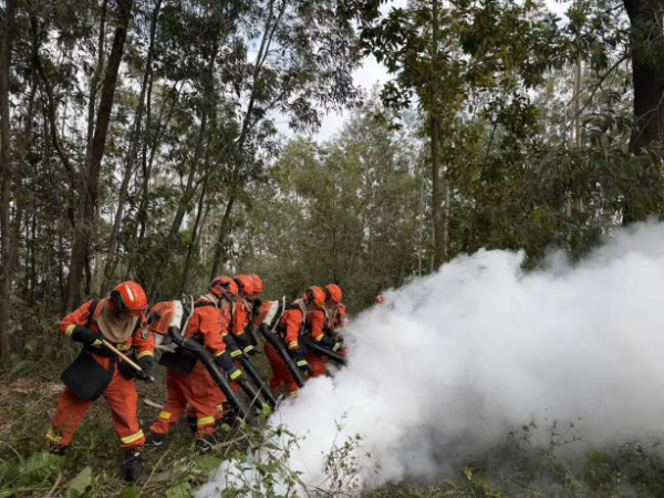 以演促练强本领 筑牢防线护平安—— 2025年开平市森林火灾扑救实战联合演练顺利举办