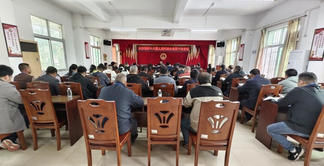 为民履职显担当 实干笃行建新功——大沙镇第十八届人民代表大会第十次会议胜利召开