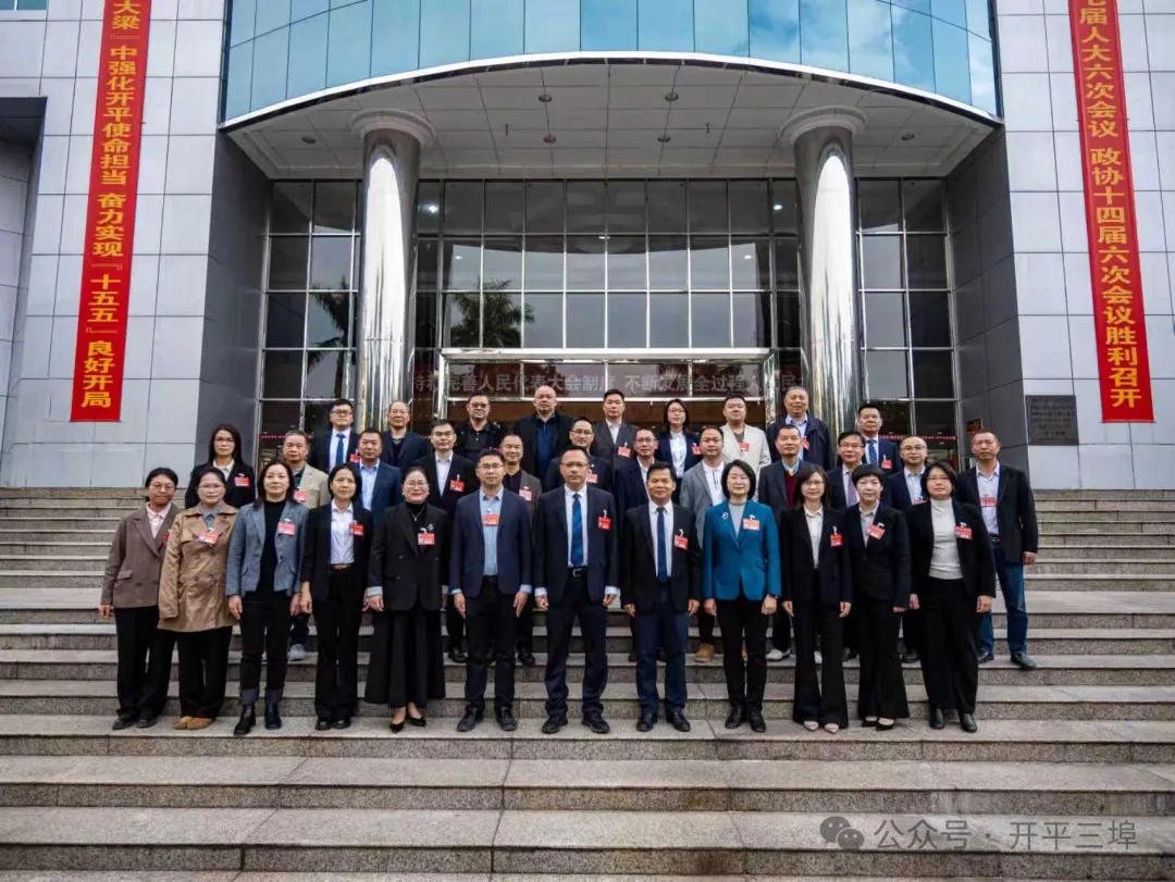 开平市第十七届人大六次会议召开！ 三埠代表团聚焦发展建言献策