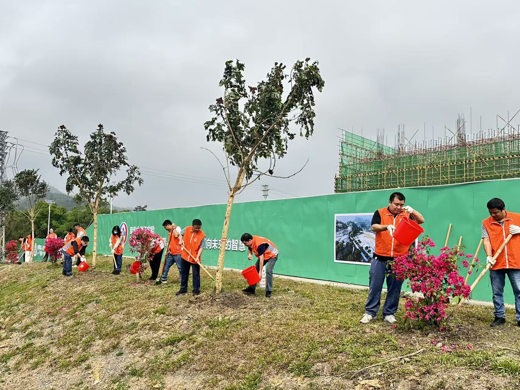 镇企同心聚合力 和美乡村展新颜——金鸡镇携手帮扶单位筑牢乡村生态宜居屏障