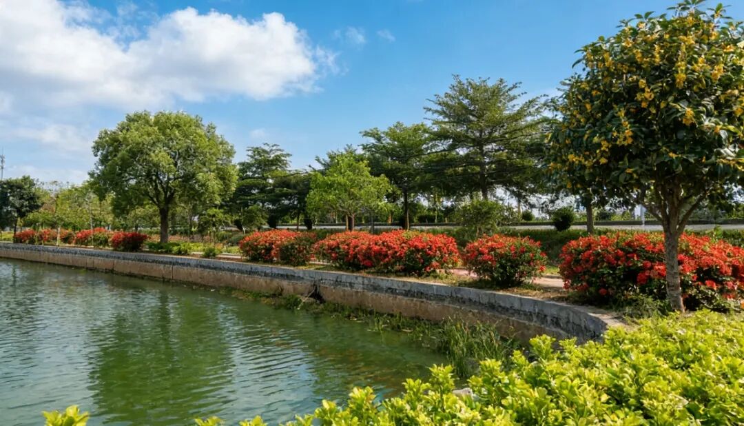 点赞！龙胜镇现龙村、桥联村被评为广东省第三批“百县千镇万村高质量发展工程”典型村