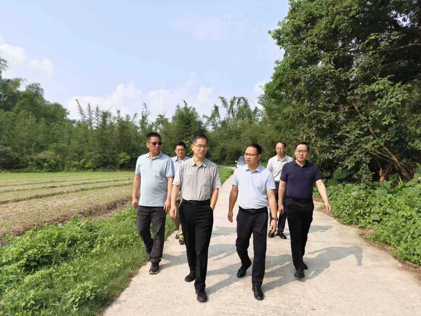 耿洪波到金鸡镇调研督导撂荒地整治与“五边”环境提升——以正确政绩观推动乡村振兴提质增效