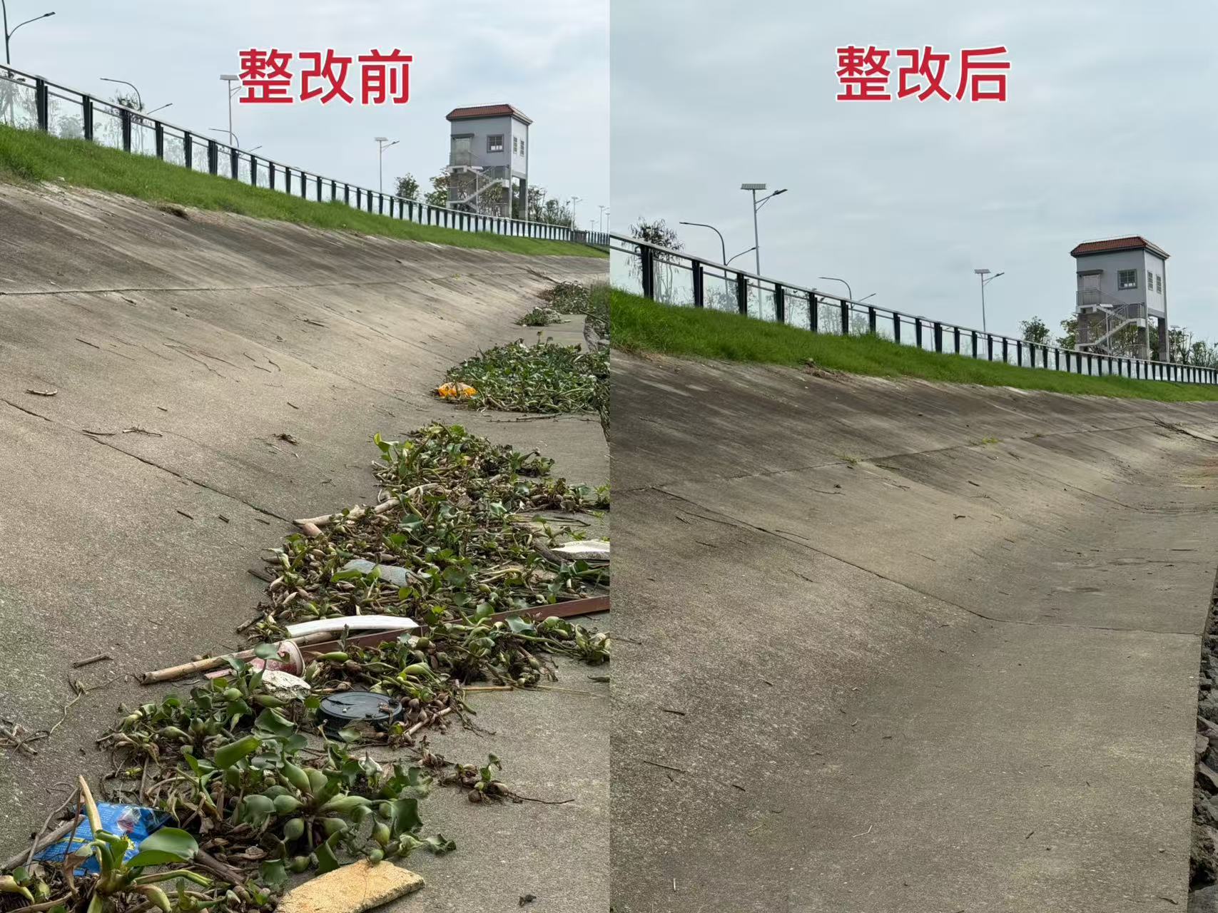 微信图片_20260430095240_1955_51.jpg