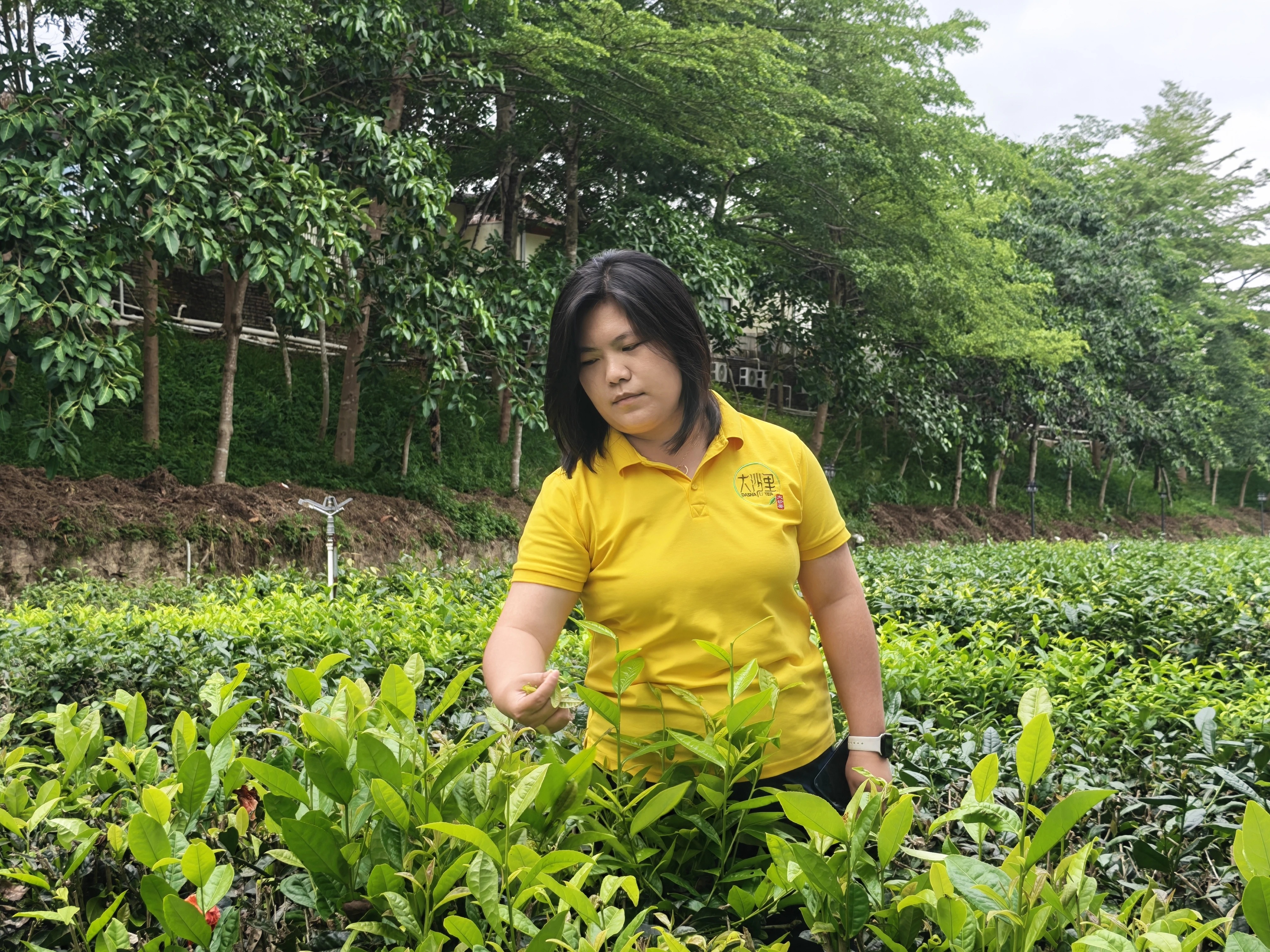 劳模工匠风采｜江门市劳动模范梁瑞欣：一位用实干与创新书写青春答卷的返乡青年