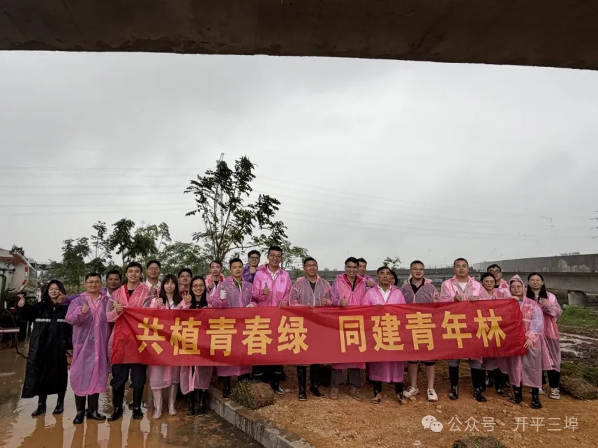 共植青春绿 同建青年林——三埠街道开展青年林植树活动