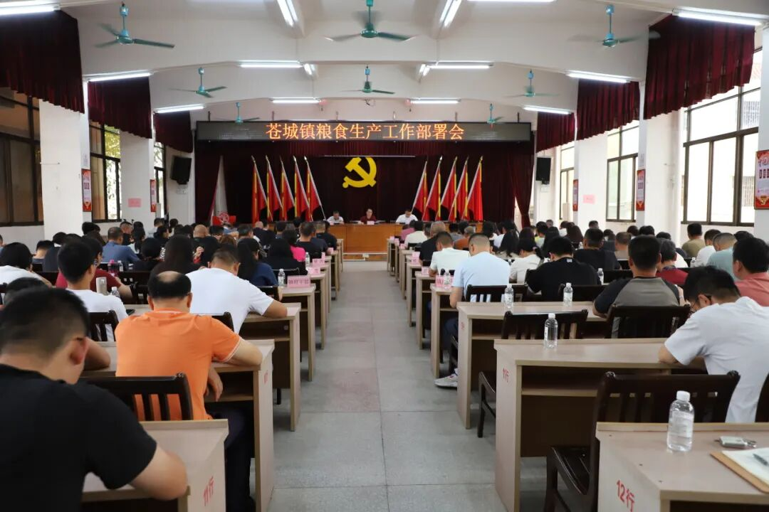 凝心聚力抓生产  攻坚克难治撂荒——苍城镇召开粮食生产工作部署会
