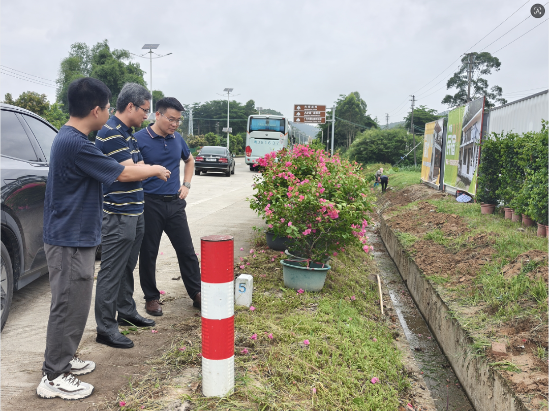 以上率下，全员出击：龙胜镇全力攻坚“五边”环境提升行动，打造人居环境“新气象”