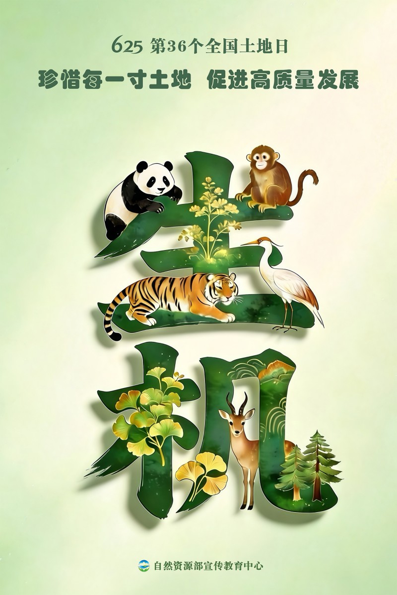 W020260620603772654944.jpg