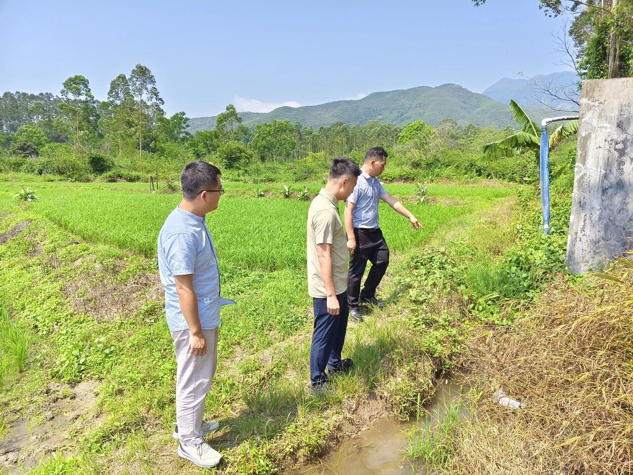 土地整合焕新机！白沙村多措并举抓紧抓实复耕复种工作