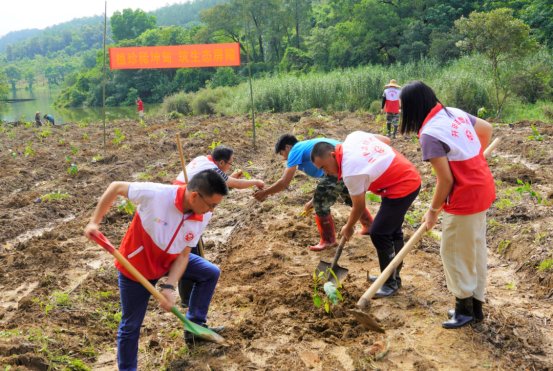 开平市举办“植珍稀坤甸 筑生态屏障”义务植树活动