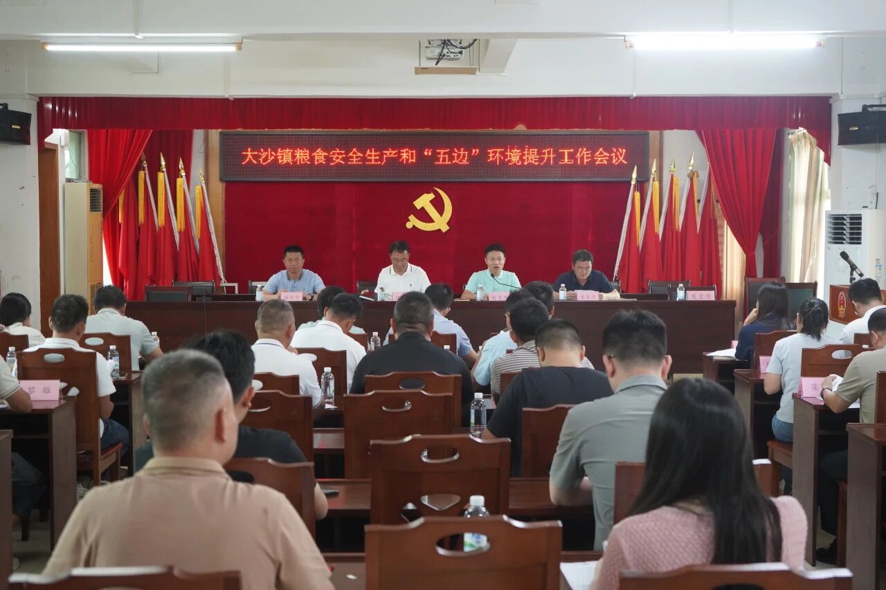 守牢粮食安全底线，绘就五边绿美新卷——大沙镇召开粮食安全生产暨“五边”环境提升工作会议