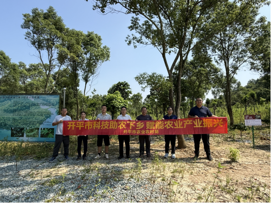健全技术服务体系  开平落地咖啡种植专项现场技术教学