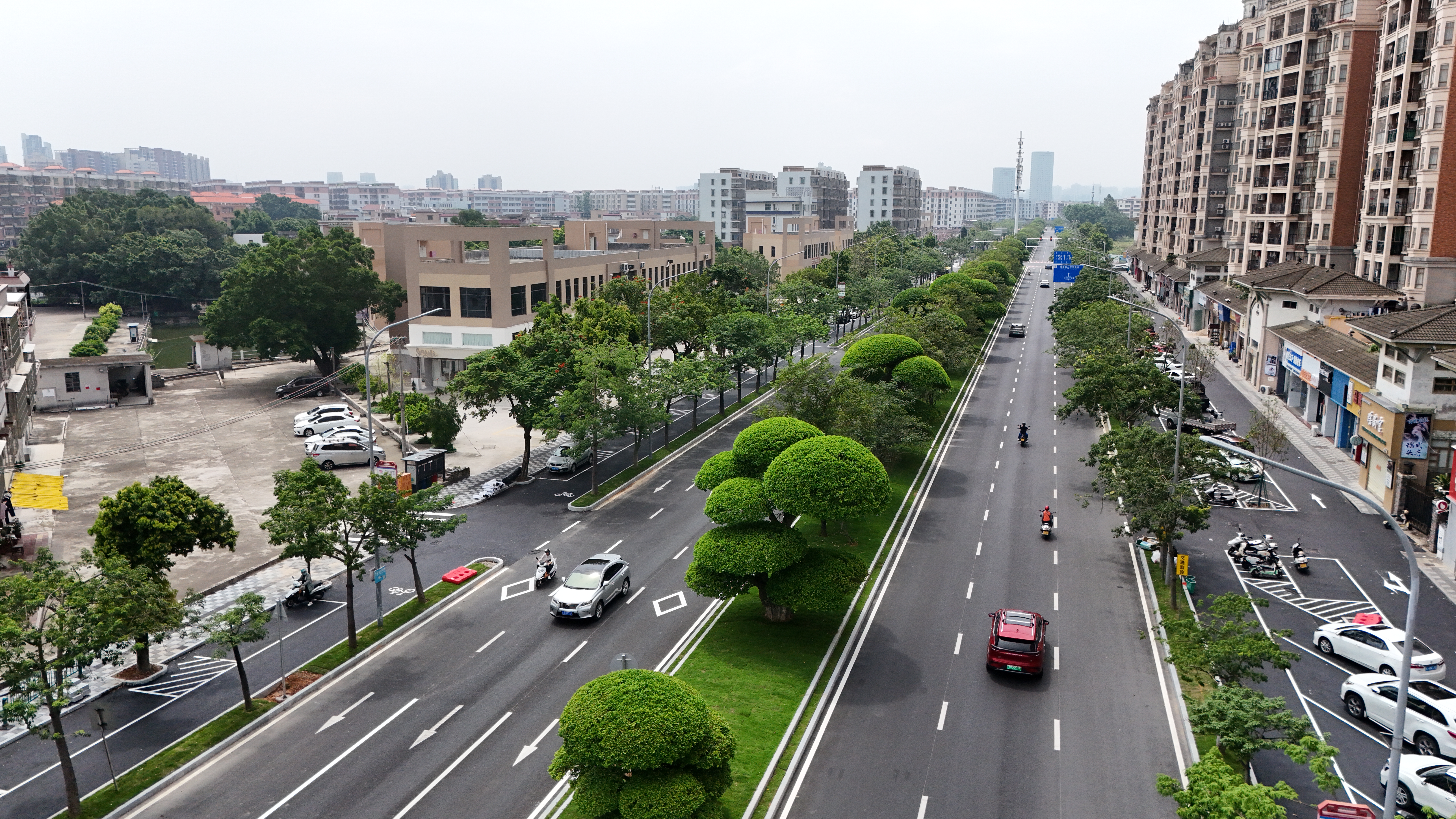精梳城市脉络，绣出林荫新卷——开平市三条县级林荫大道完成提质升级